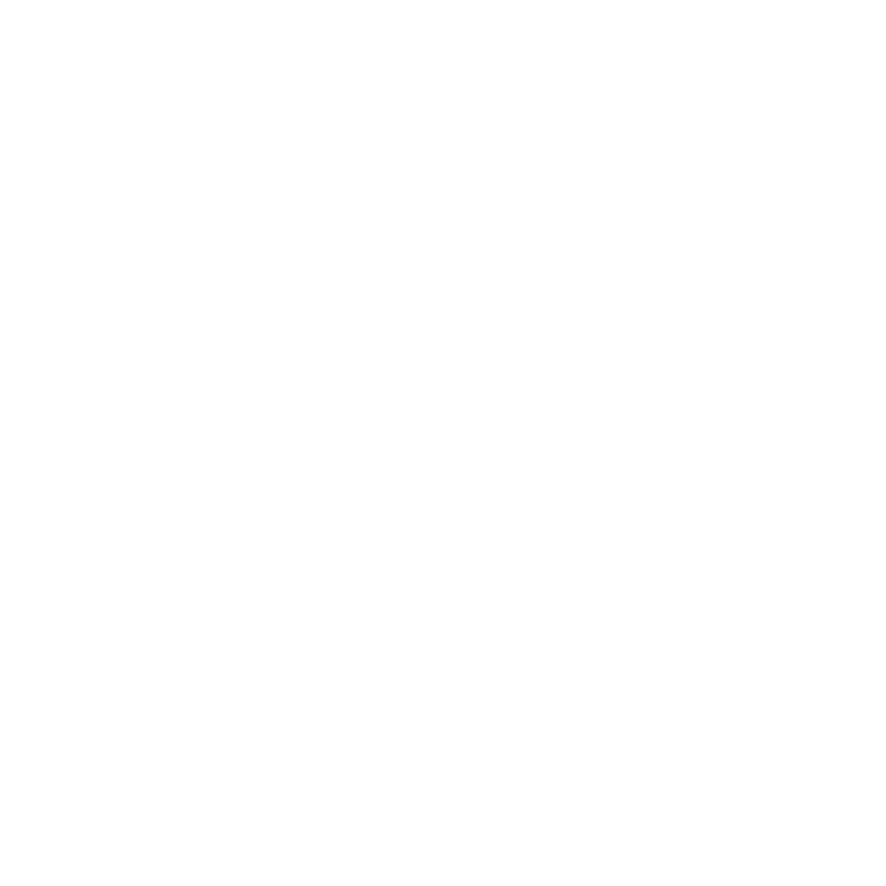 Logo of the Northling™ clothing and gear brand, since 2020.